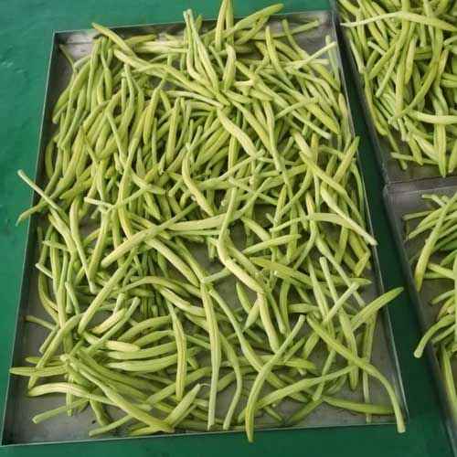 黃花菜凍干