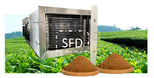 烏龍茶冷萃凍干茶粉凍干機設備及優(yōu)勢