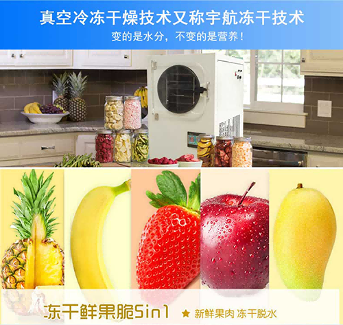 食品凍干機加工凍干果蔬脆片方法