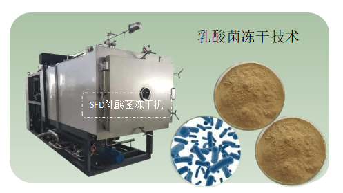 乳酸菌凍干技術(shù)要點和生物制藥凍干機應(yīng)用優(yōu)勢