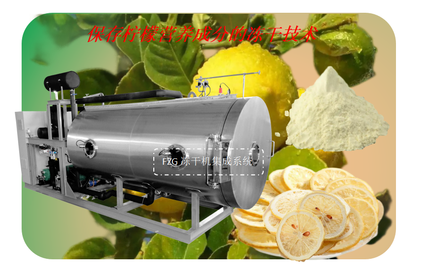 食品凍干機(jī)集成系統(tǒng)在檸檬凍干開發(fā)加工應(yīng)用