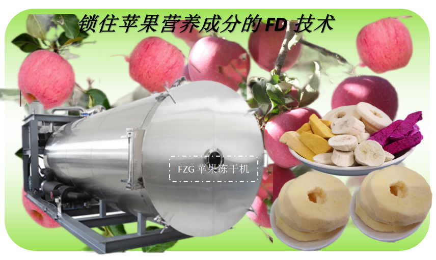 蘋果凍干技術(shù)和蘋果凍干機(jī)生產(chǎn)線