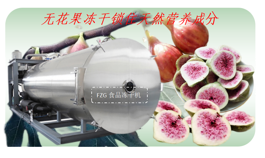 無花果凍干產(chǎn)品和食品凍干機(jī)原理