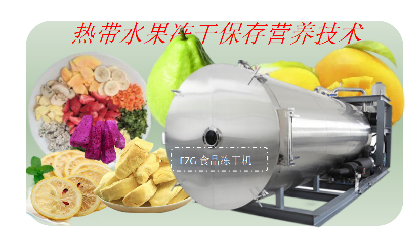 食品凍干機推動熱帶水果凍干深加工發(fā)展