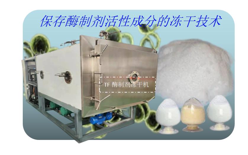 凍干機在酶制劑凍干加工應用