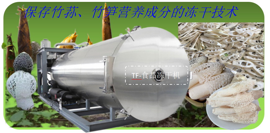竹蓀竹筍凍干加工優(yōu)勢和食品凍干機(jī)結(jié)構(gòu)組成
