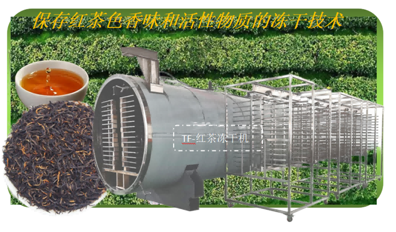 紅茶凍干技術(shù)和紅茶凍干機(jī)工作原理