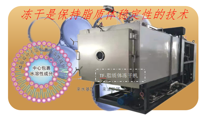 脂質(zhì)體凍干技術(shù)和脂質(zhì)體凍干機(jī)要求