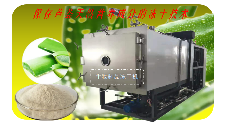 蘆薈凍干粉冷凍干燥設(shè)備蘆薈凍干機(jī)介紹