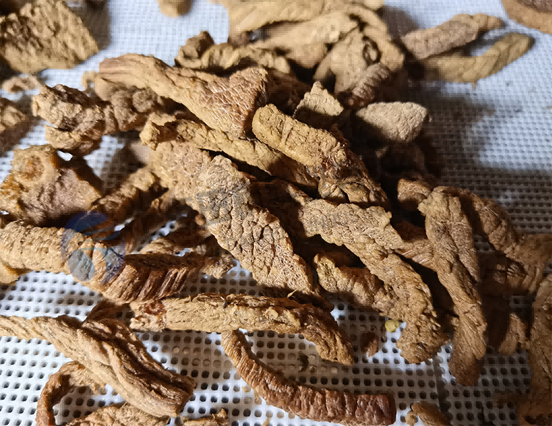 牛肉凍干，食品真空冷凍干燥機應用于肉類凍干