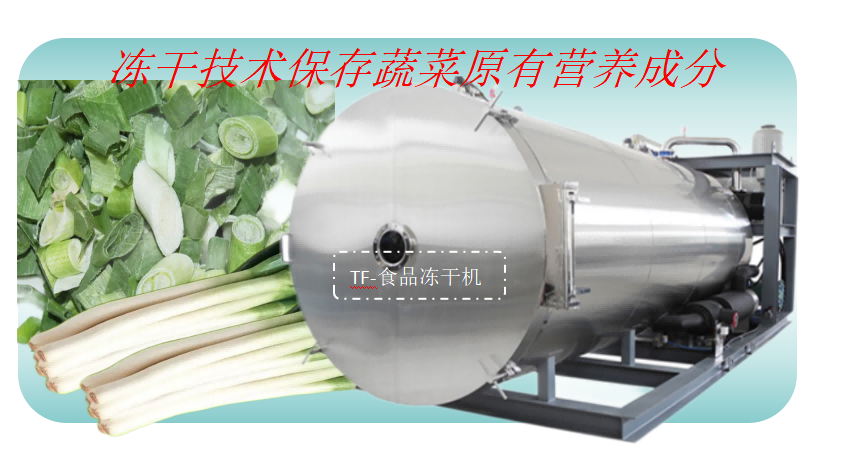 食品凍干機(jī)在大蔥蔬菜凍干加工應(yīng)用優(yōu)勢