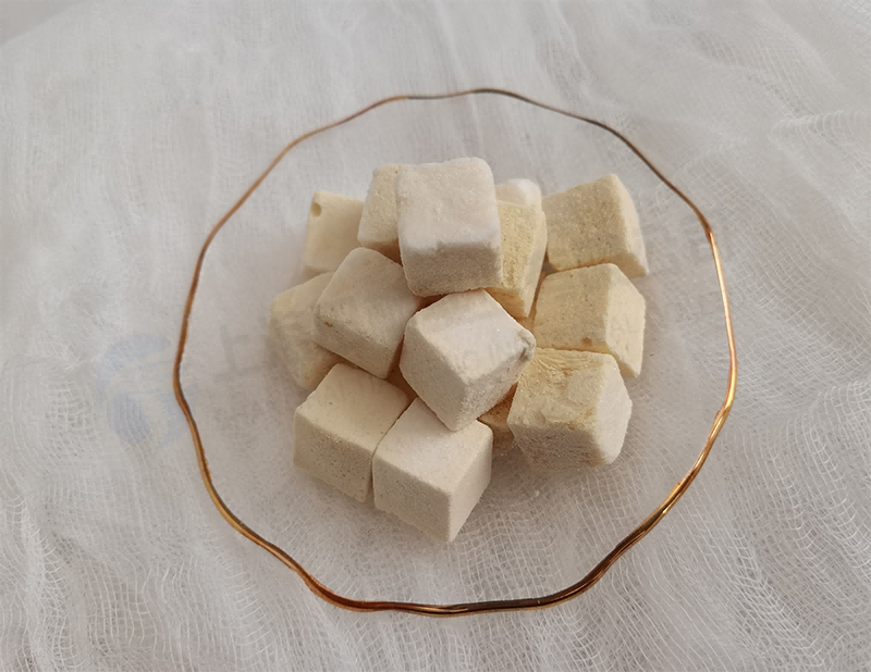 酸奶塊凍干，食品凍干機應(yīng)用于酸奶真空冷凍干燥