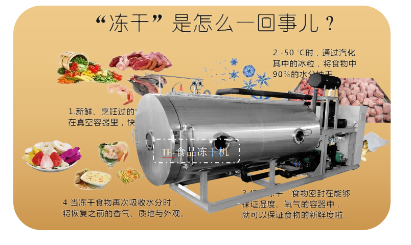 食品凍干解決方案和食品凍干機生產(chǎn)線的設(shè)計