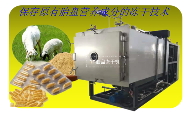 胎盤凍干粉膠囊制作工藝和凍干機設(shè)備要求