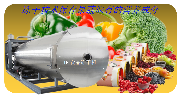 果蔬凍干加工生產(chǎn)線的設(shè)計和食品凍干機選擇