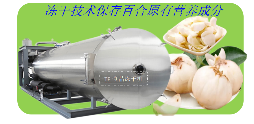 食品凍干機在農(nóng)產(chǎn)品百合凍干的優(yōu)勢