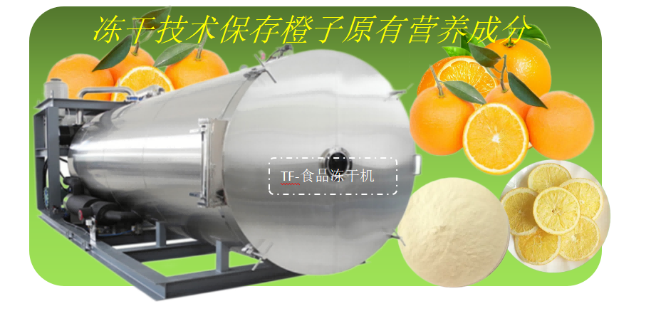 食品凍干機在橙子凍干開發(fā)應(yīng)用