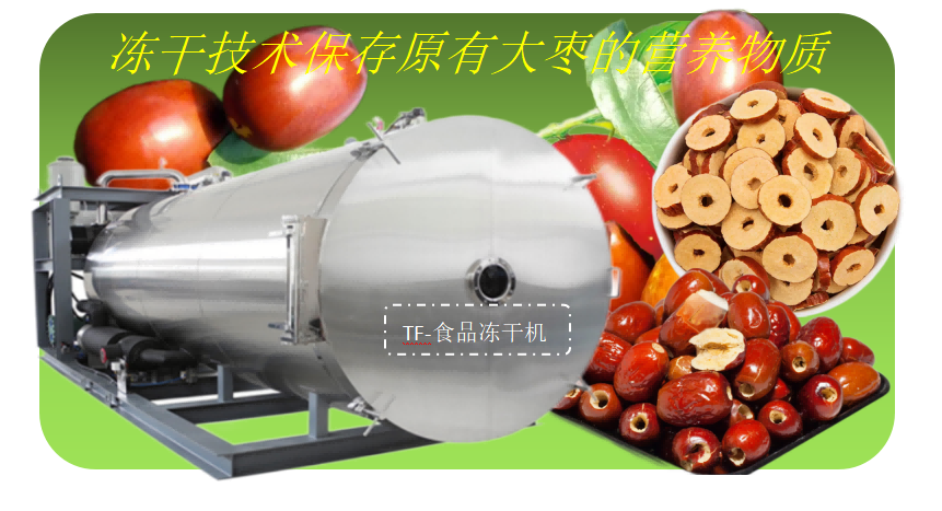 食品凍干機應(yīng)用：大棗凍干加工鎖住原有營養(yǎng)成分