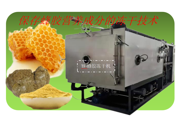 蜂膠凍干粉冷凍干燥技術(shù)和蜂膠凍干機設(shè)備