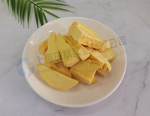 芒果凍干，果蔬真空冷凍干燥機工藝技術(shù)應(yīng)用