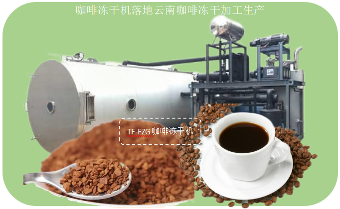 咖啡凍干機(jī)落地云南咖啡凍干加工生產(chǎn)