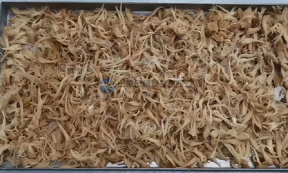 猴頭菇凍干：食品真空冷凍干燥技術(shù)應(yīng)用在猴頭菇凍干