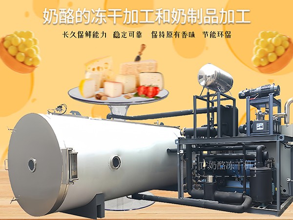 上海田楓奶酪凍干機成套設備和生產(chǎn)流程