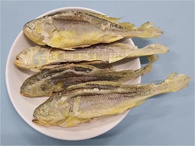 海魚(yú)凍干：海鮮凍干機(jī)應(yīng)用黃花魚(yú)凍干優(yōu)點(diǎn)