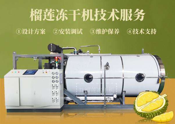 探秘上海田楓大型榴蓮凍干機生產(chǎn)線成套設備的創(chuàng)新技術