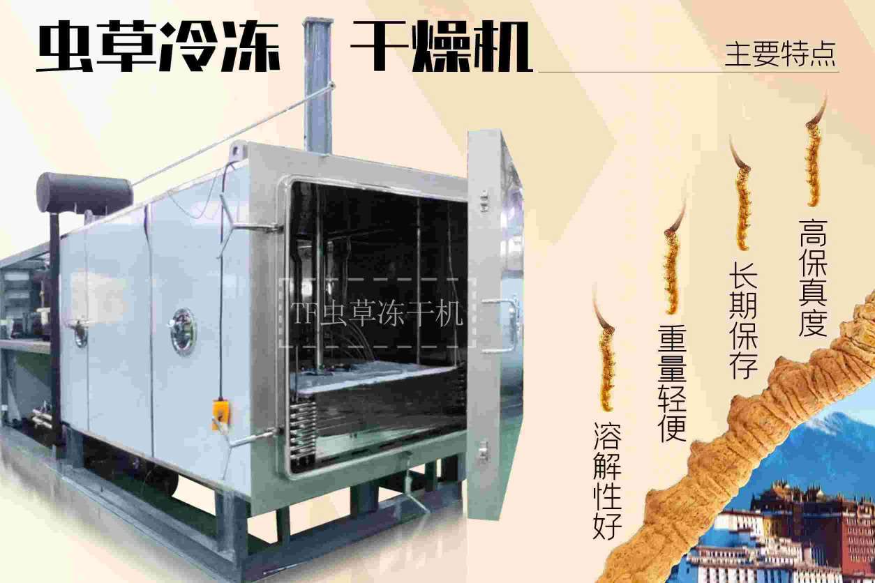 你知道醫(yī)療凍干機是如何幫助保存藥物的嗎？