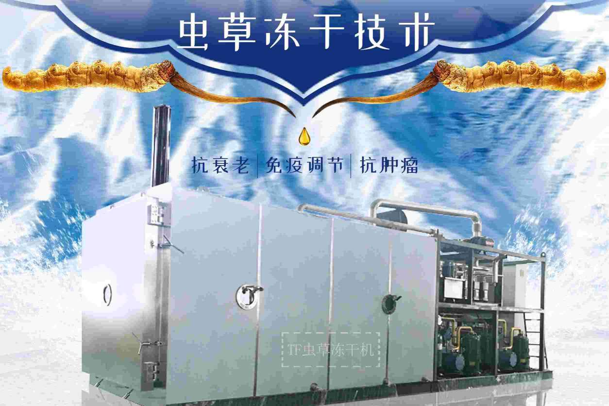 冬蟲夏草凍干機的工作原理是什么？