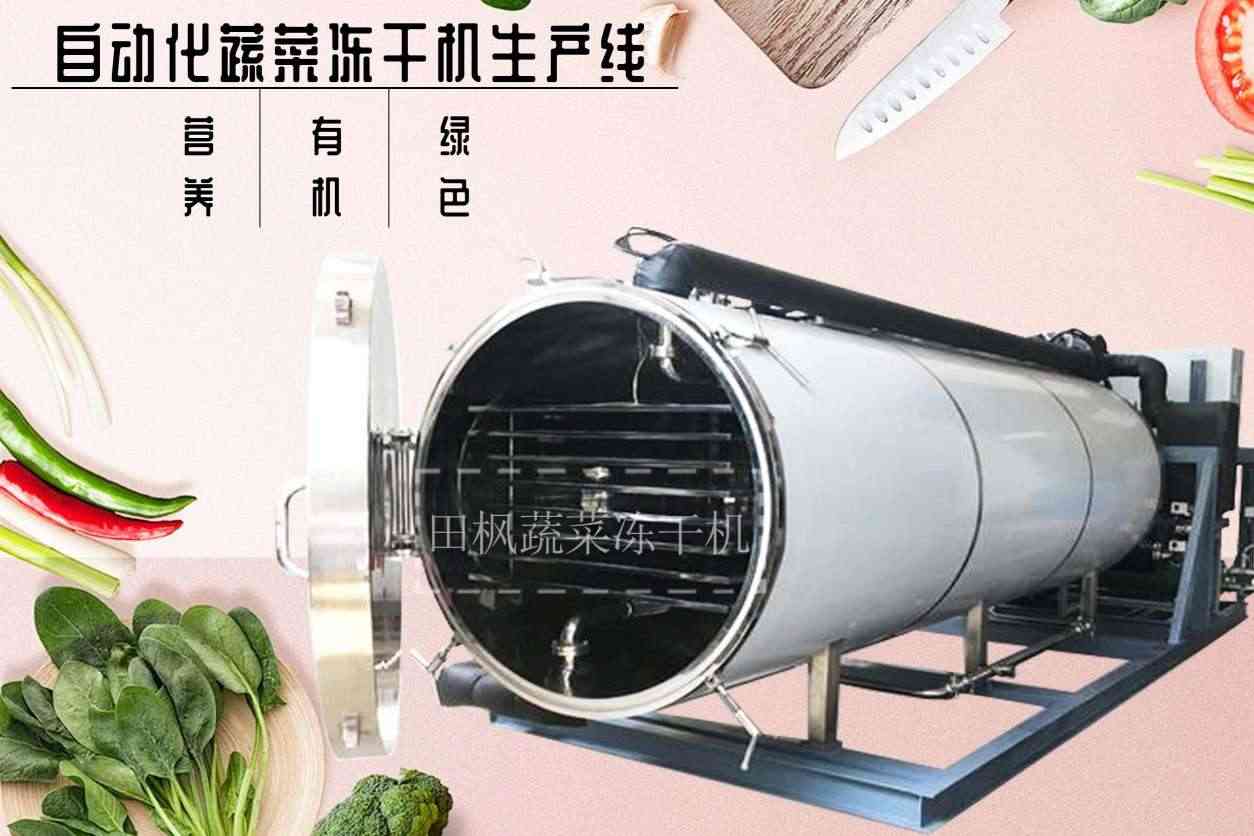 如何選擇適合自己的蔬菜凍干機？有哪些購買建議？