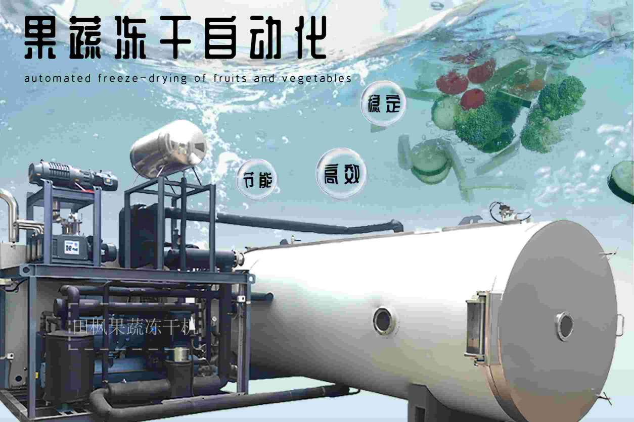 果蔬凍干機(jī)與傳統(tǒng)食物保存方法有何不同？它有哪些優(yōu)勢？