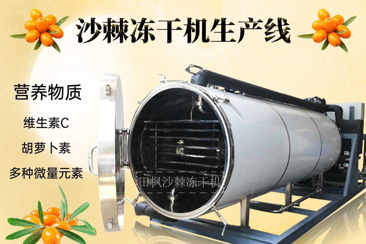 沙棘凍干機(jī)的歷史和發(fā)展現(xiàn)狀是怎樣的？
