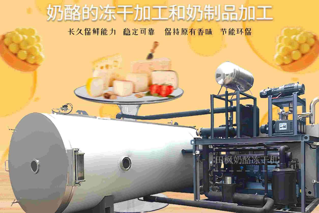 奶酪凍干機(jī)的工作原理是什么？