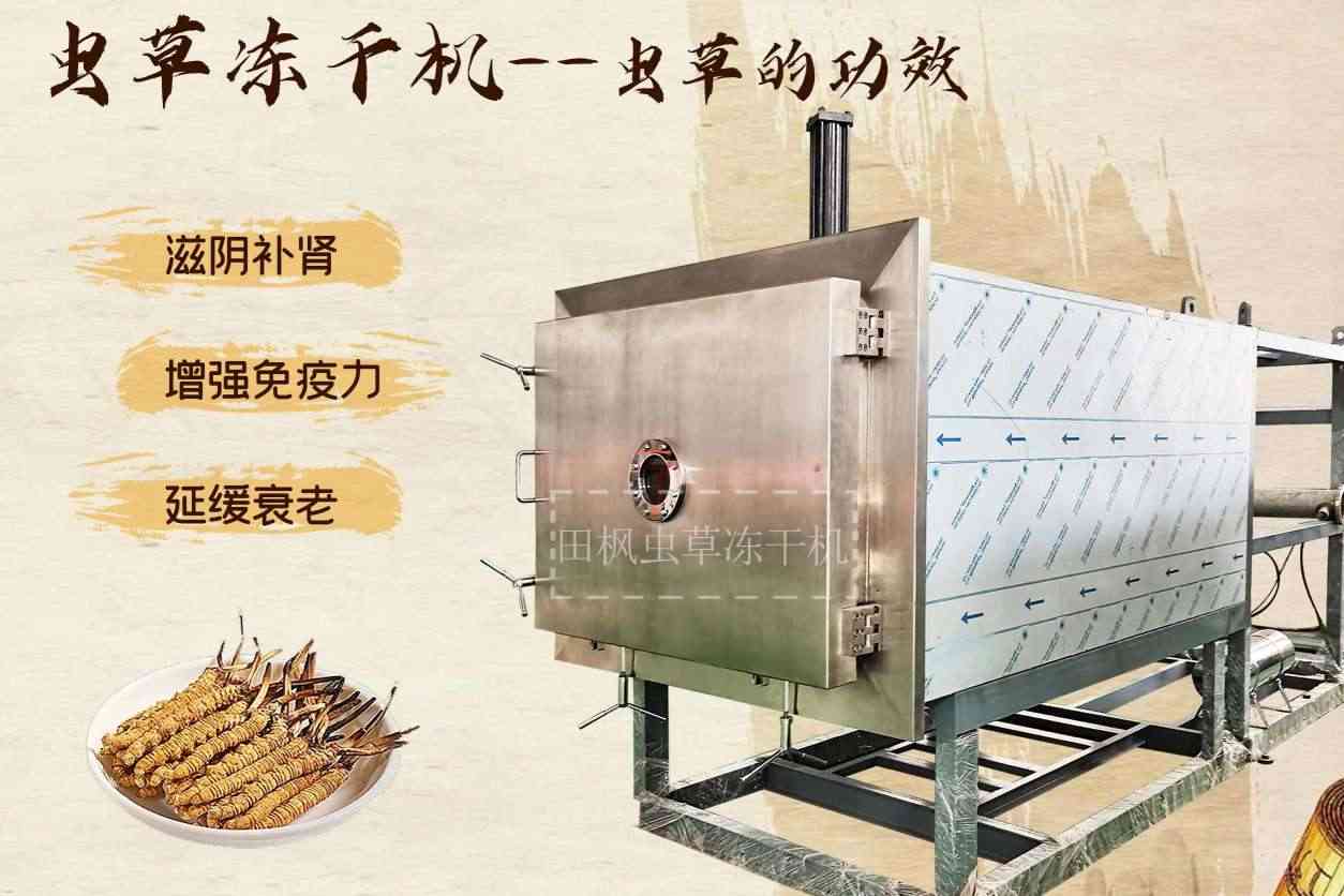 低溫凍干機(jī)如何保證生物樣本的純度？