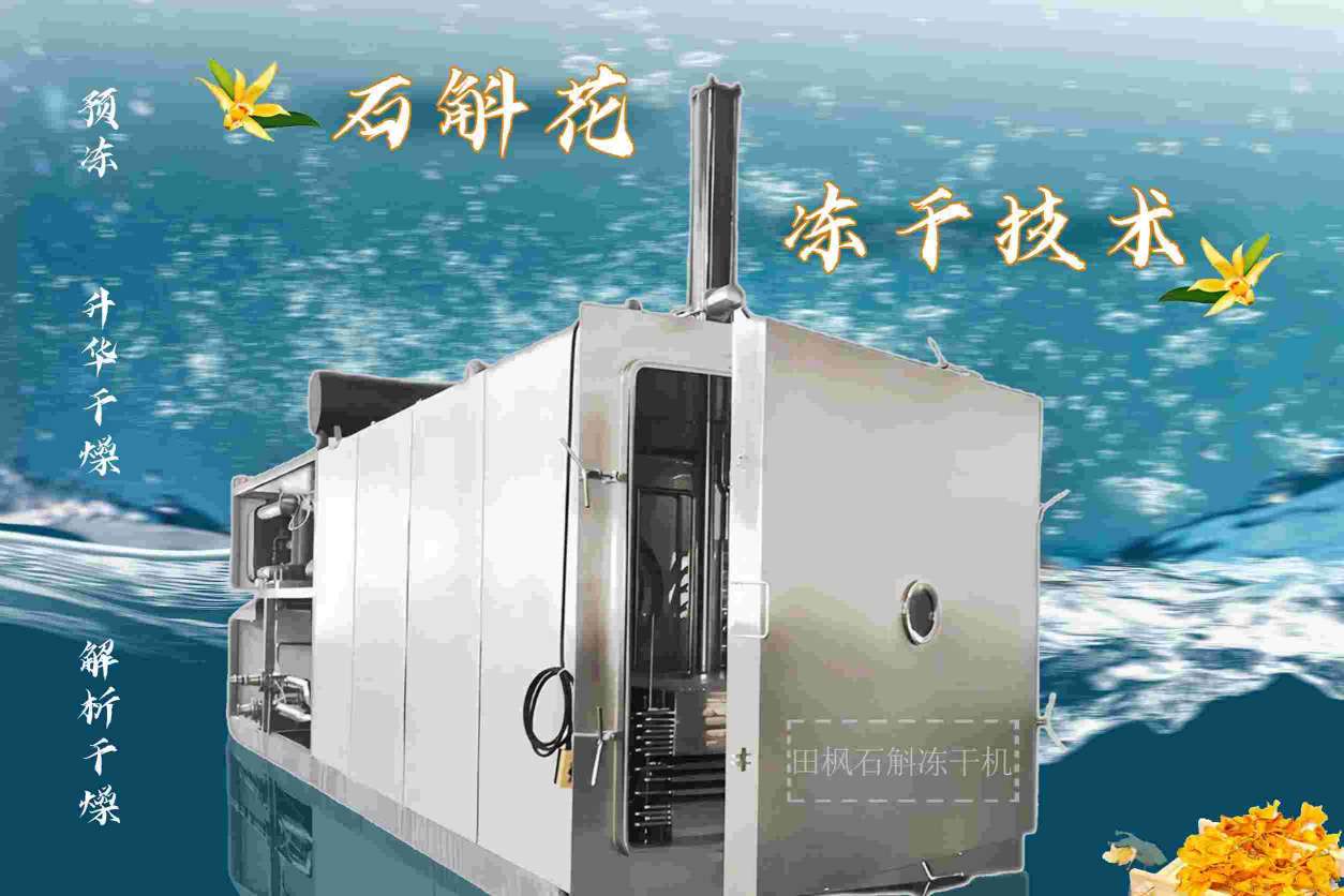 低溫凍干機(jī)如何提高醫(yī)藥產(chǎn)品的質(zhì)量？