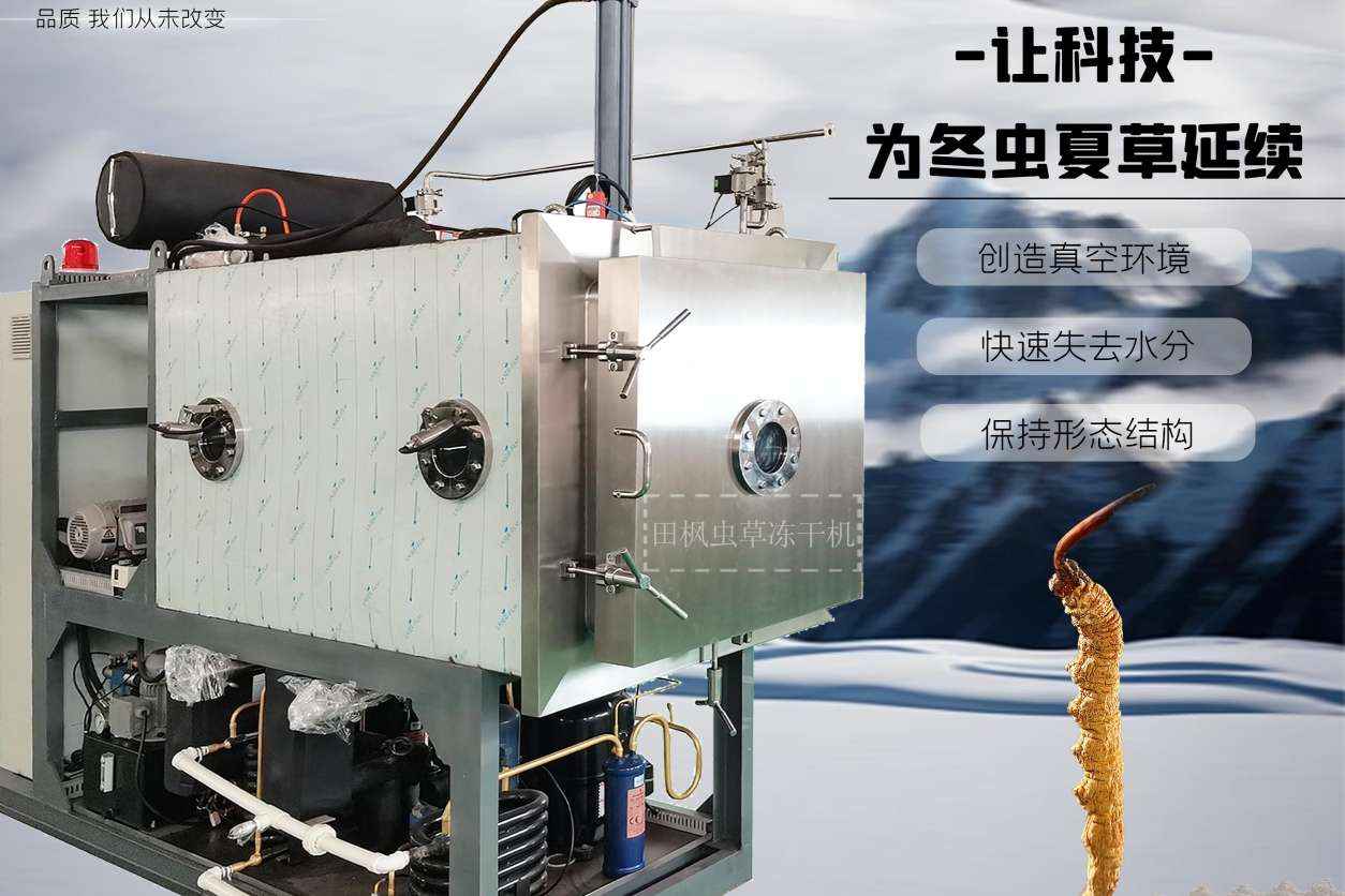 凍干機是如何工作的？
