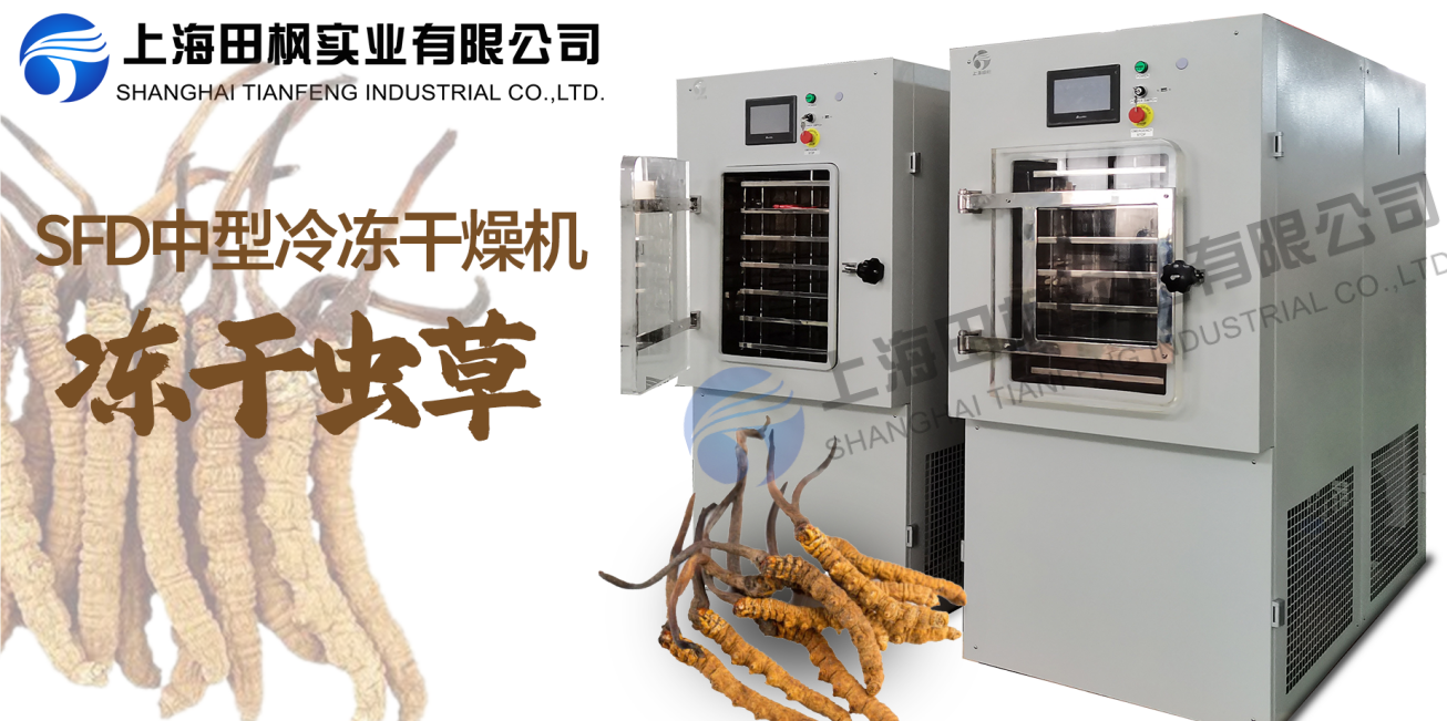 凍干機(jī)制作凍干蟲草的五大優(yōu)勢