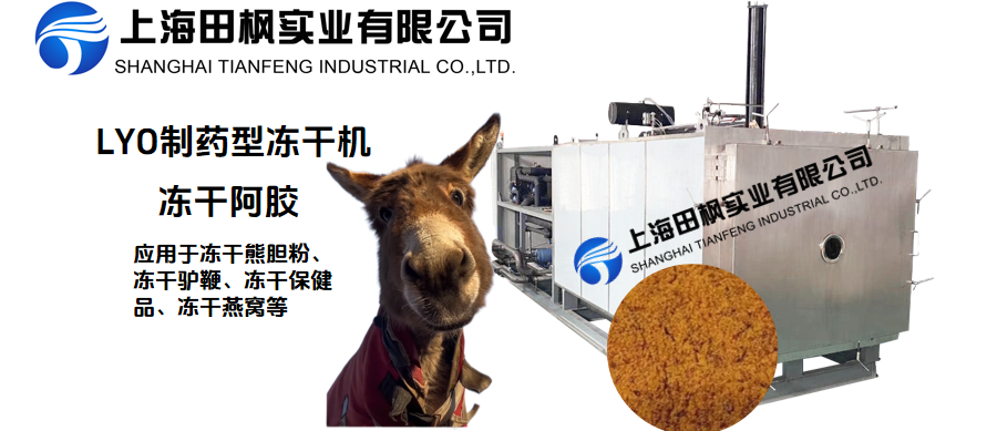冷凍干燥機(jī)在阿膠加工中的應(yīng)用優(yōu)勢