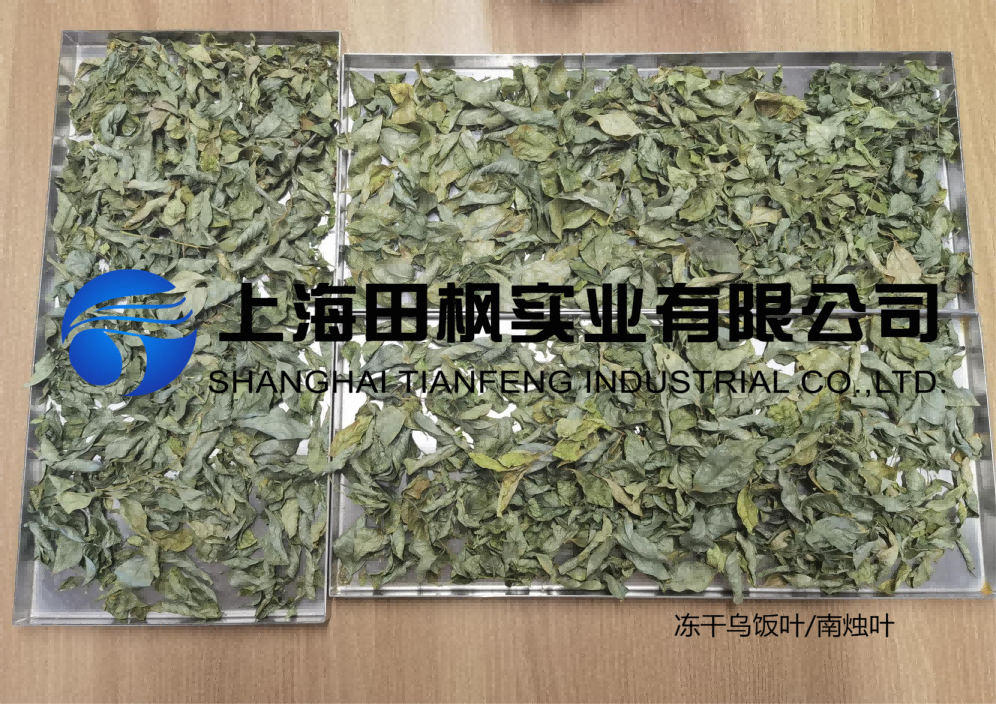 凍干機(jī)讓傳統(tǒng)烏米飯便捷又營養(yǎng)